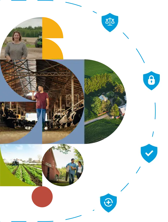 Hero illustration: investors and farm assets
