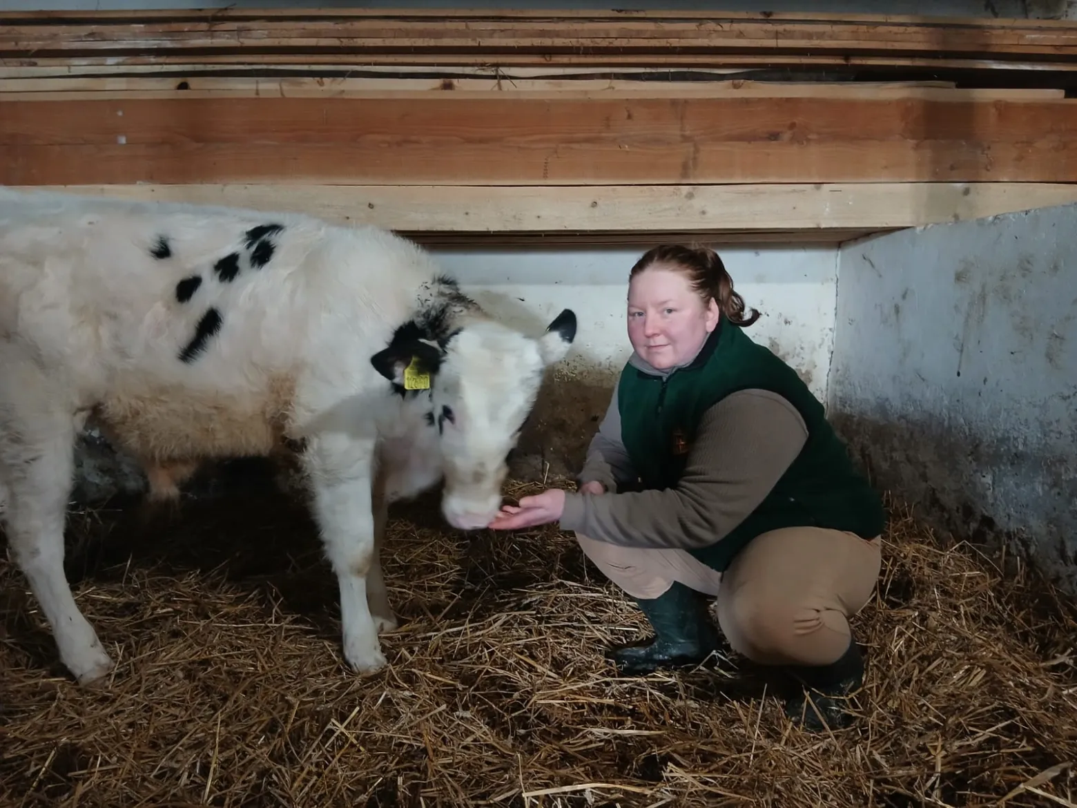 Project No. 12507950 image