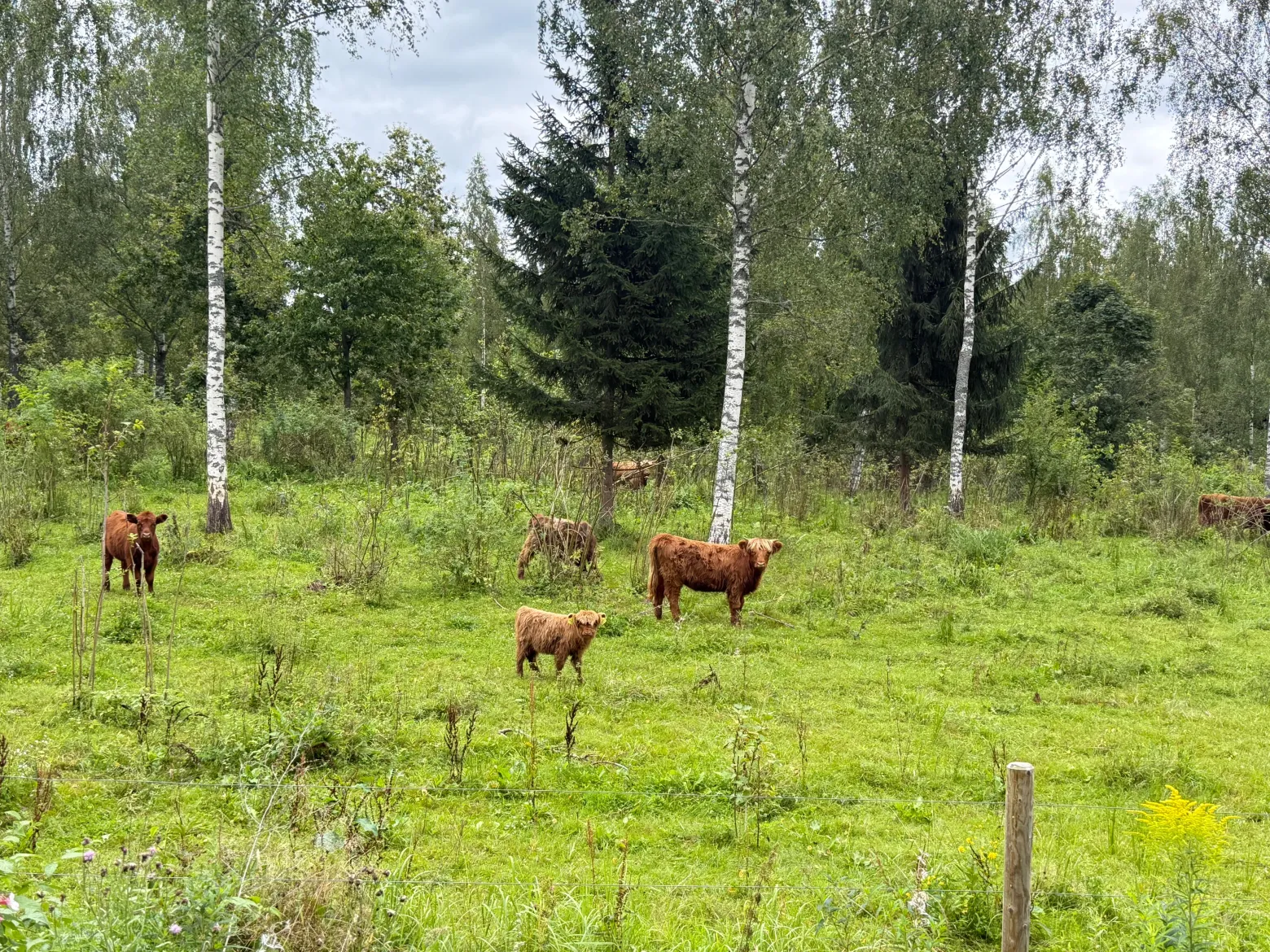 Project No. 12524760 image