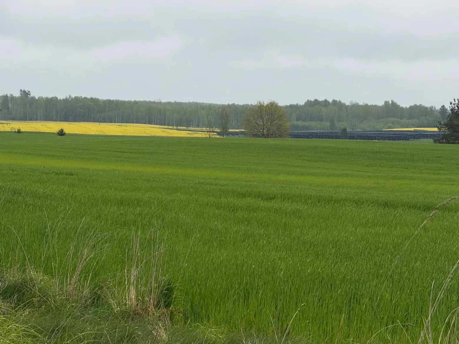 Project No. 12529151 image