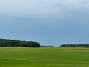 Image alt text