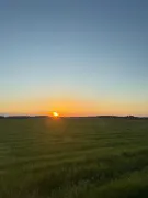 Image alt text
