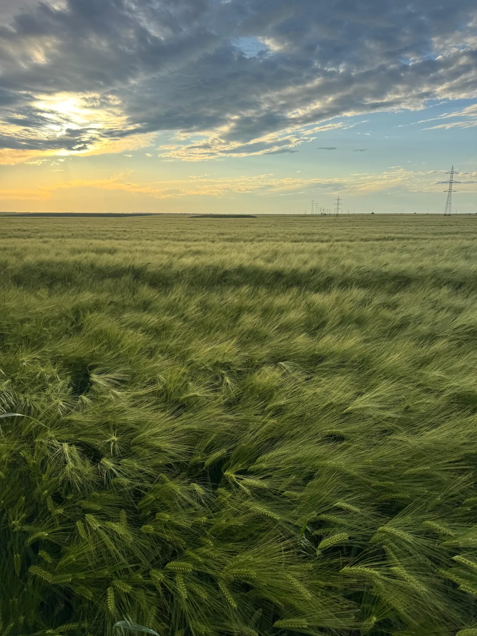 Project No. 12563435 image