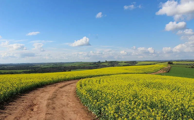 Project No. 12565115 image