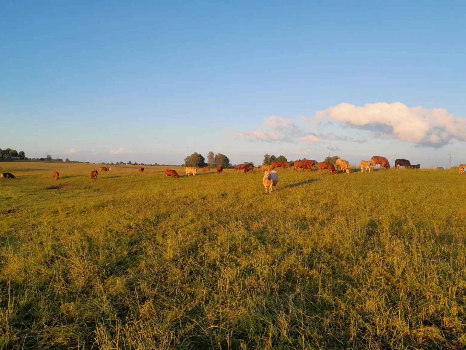 Project No. 12570357 image