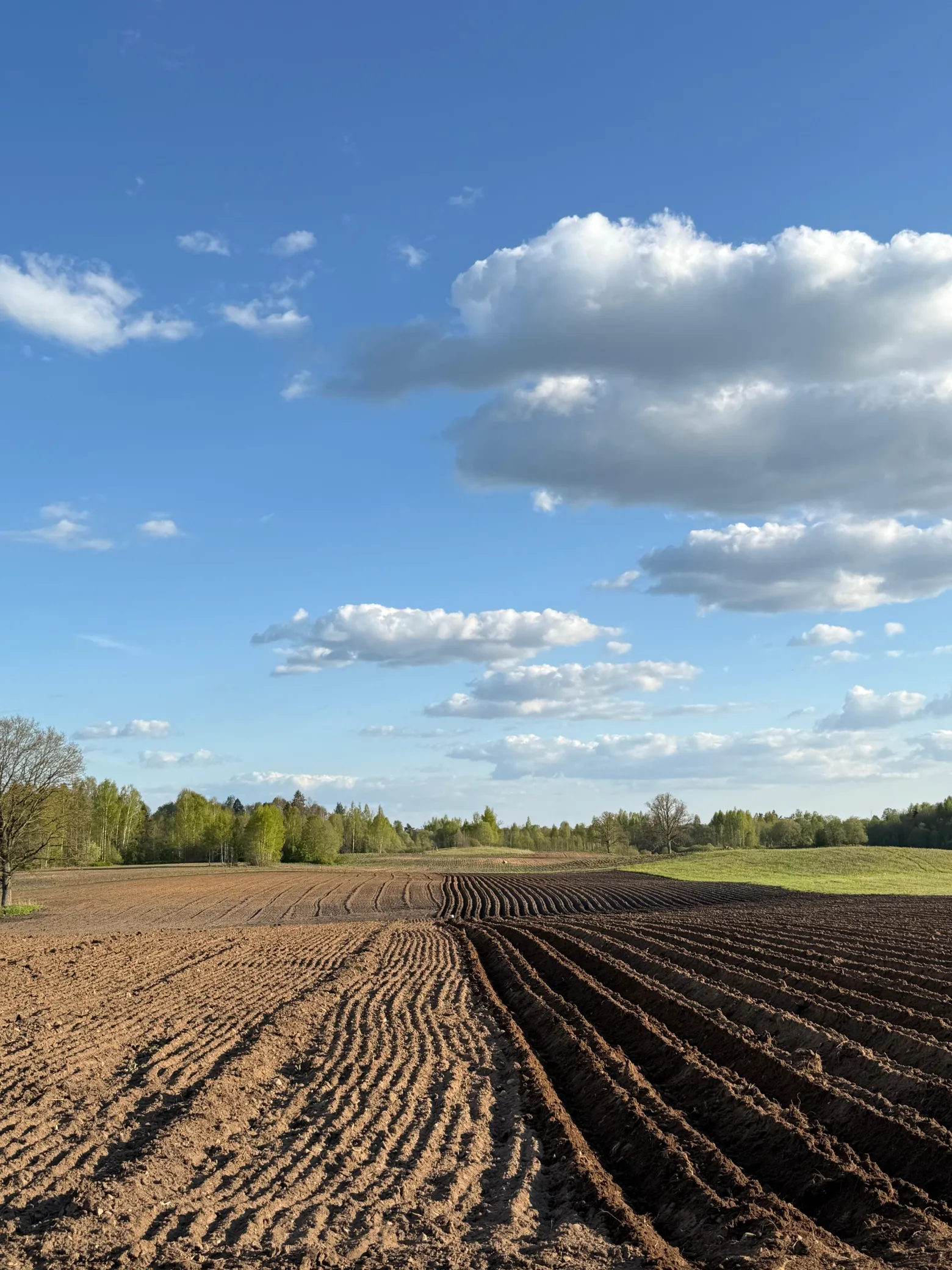 Project No. 12572813 image