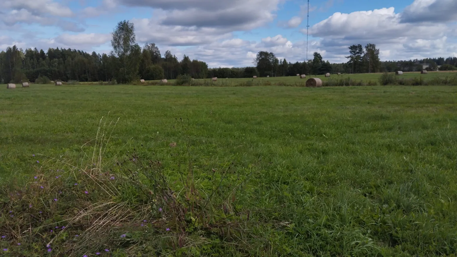 Project No. 12575685 image