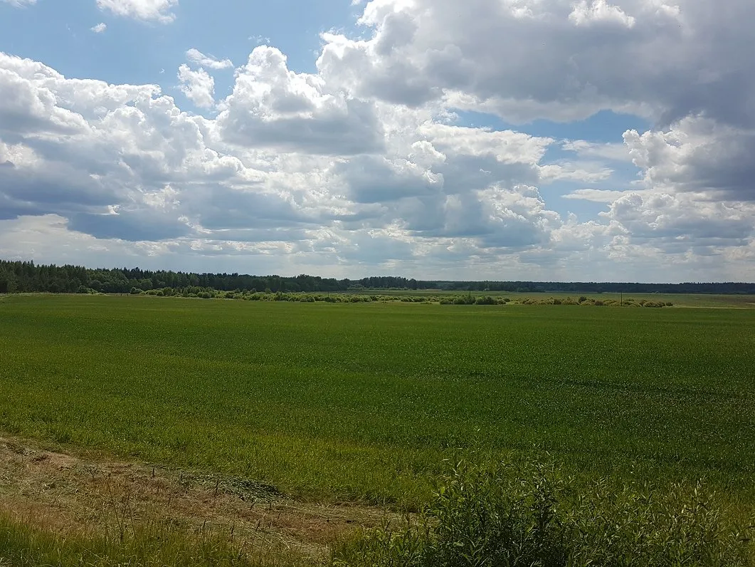 Project No. 12579710 image