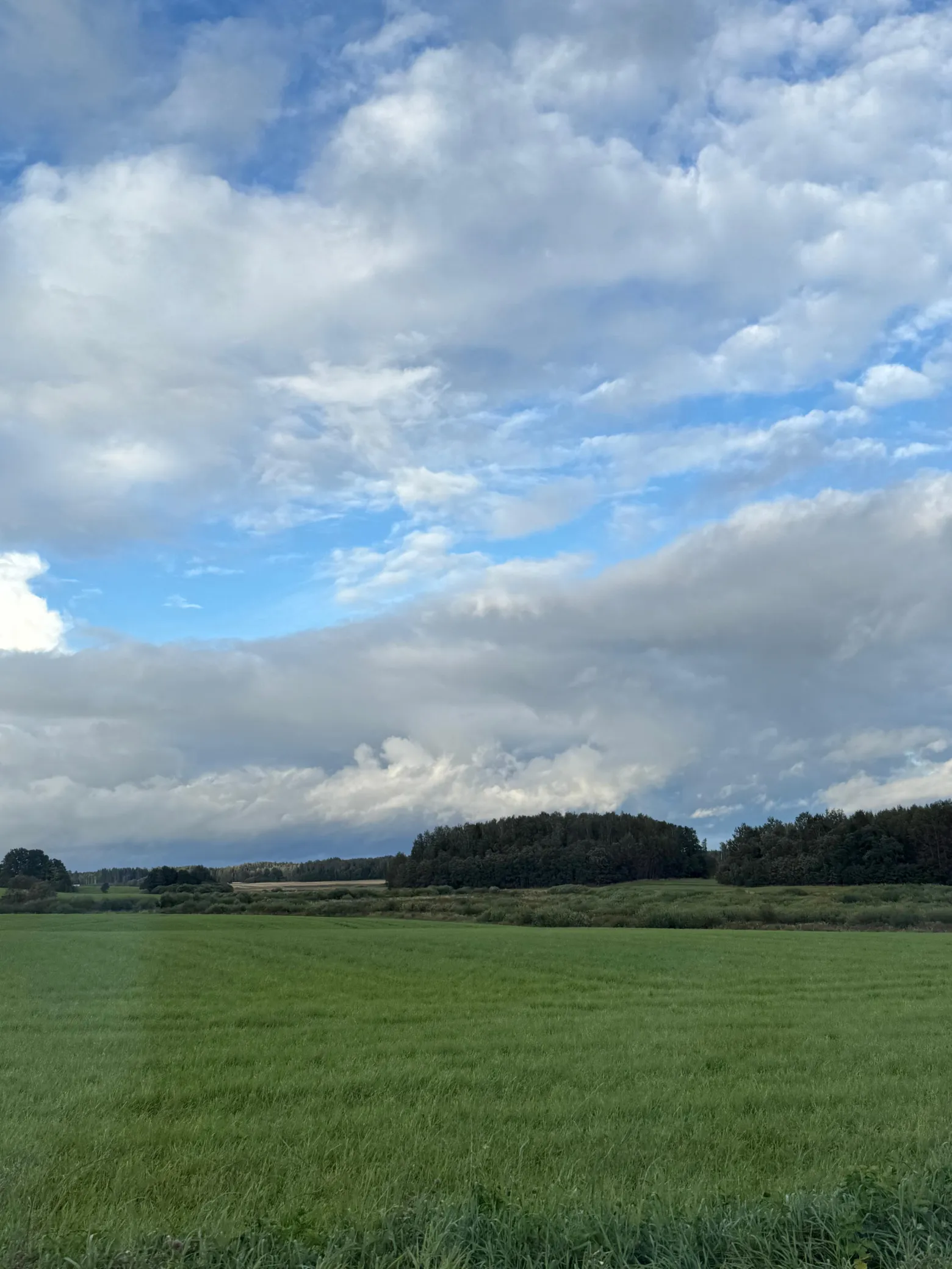 Project No. 12582712 image