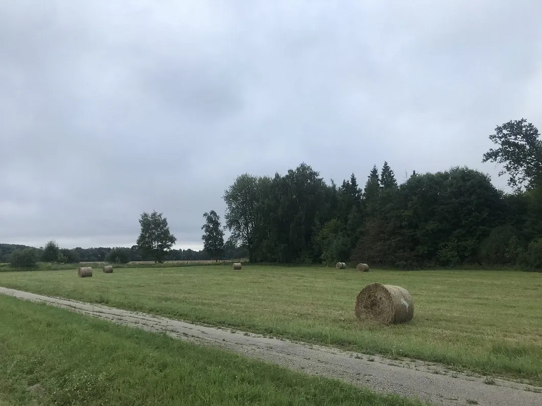 Project No. 12583567 image