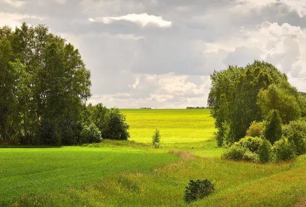 Project No. 12586130 image