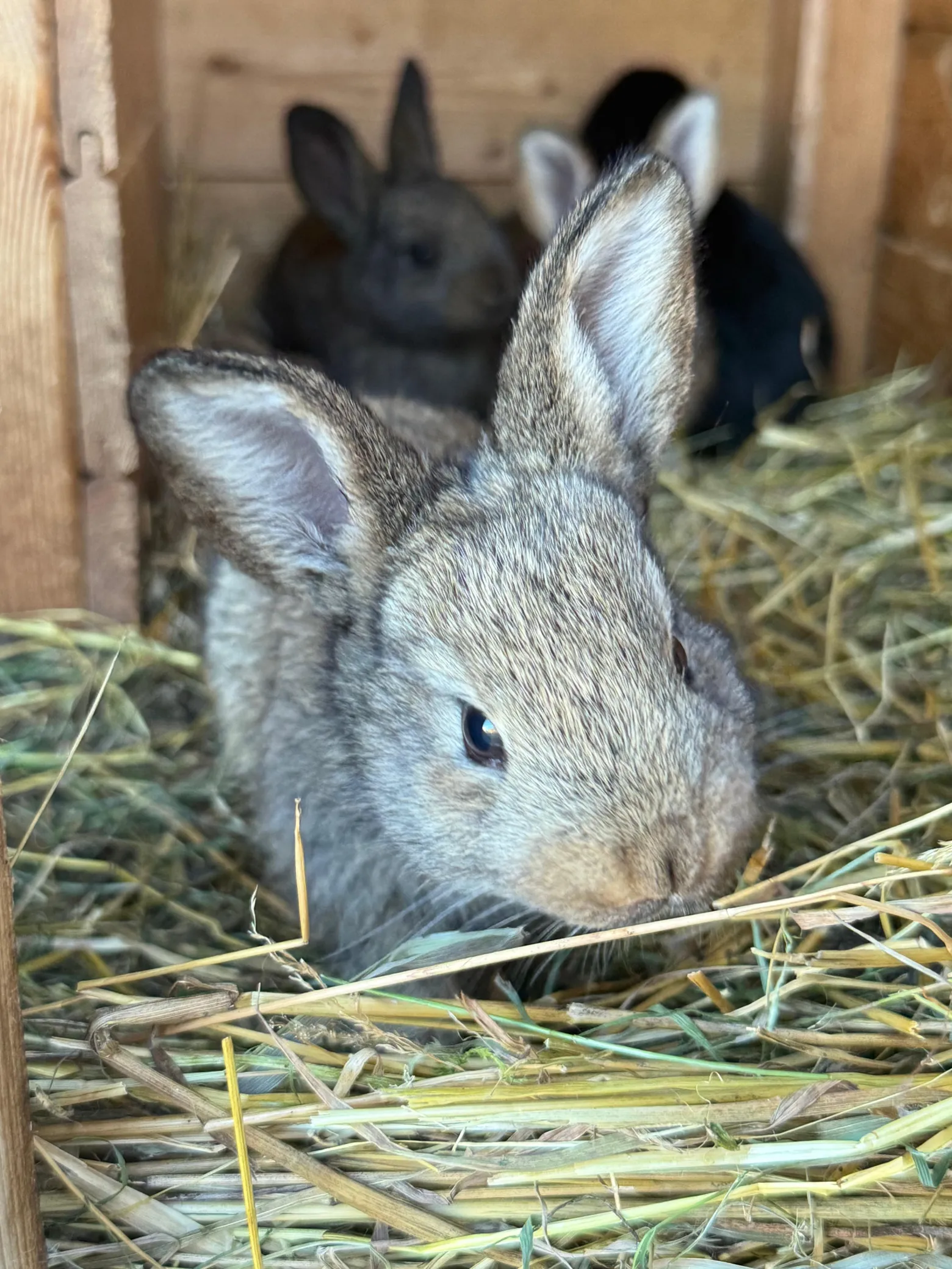 Project No. 12609884 image