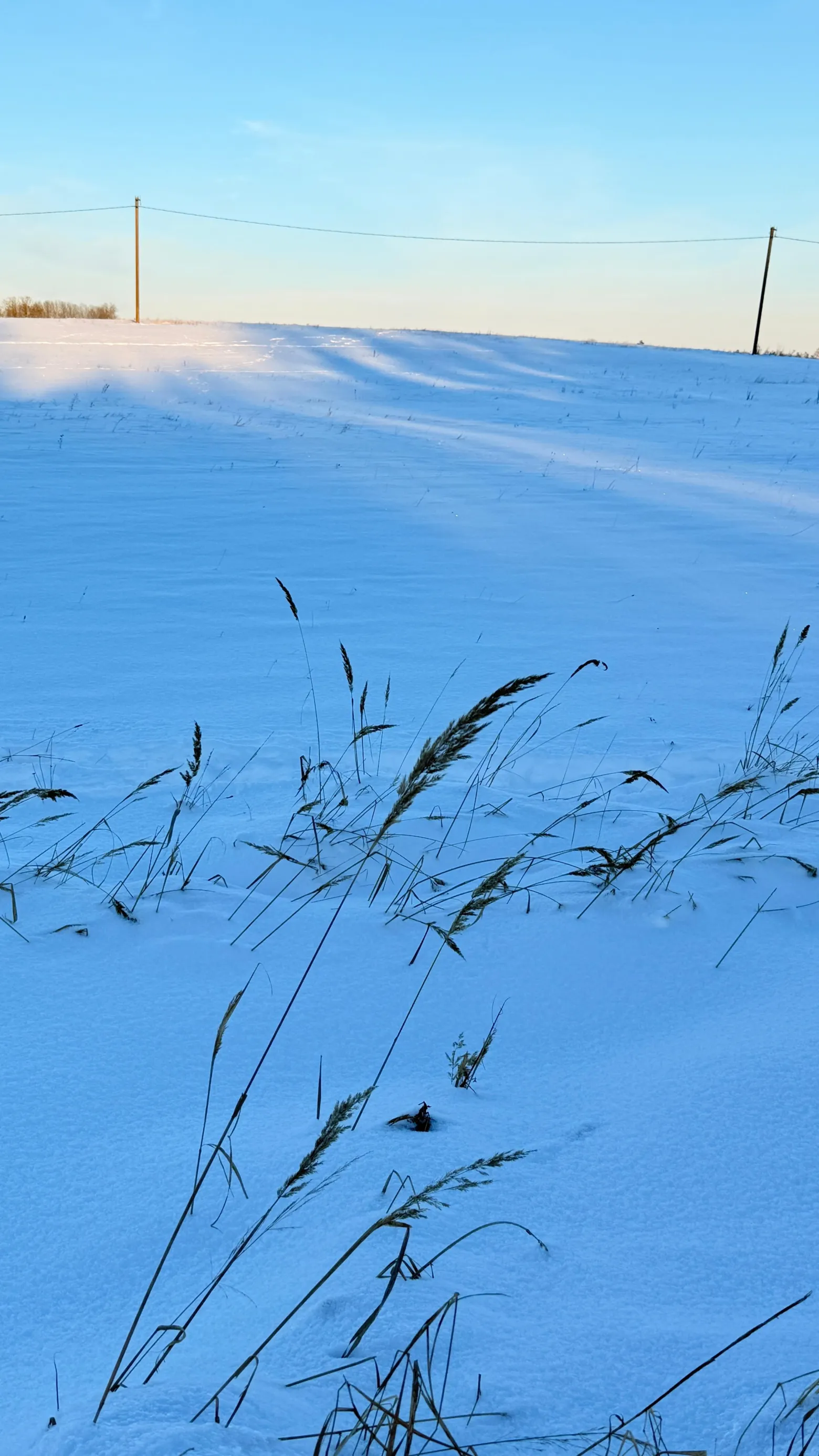 Project No. 12618063 image