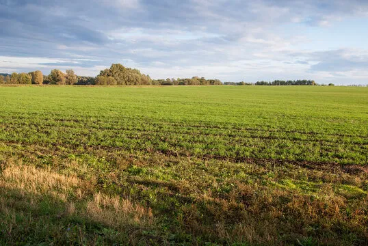 Project No. 12660779 image