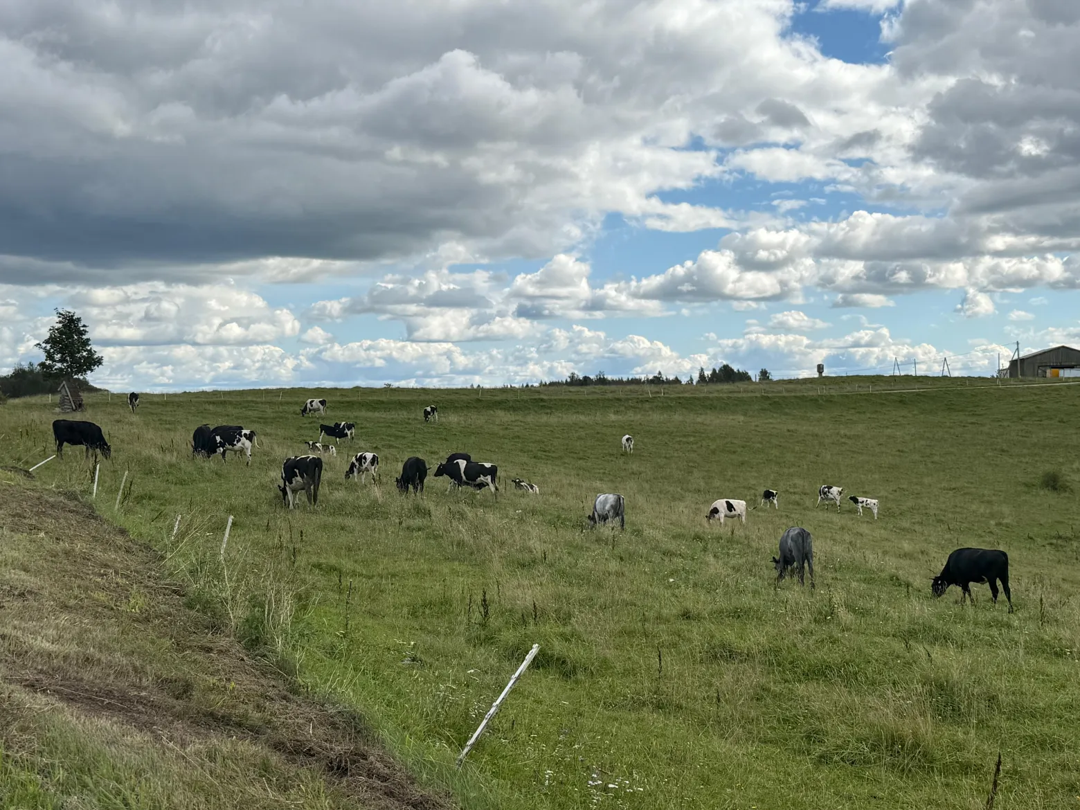 Project No. 12664110 image