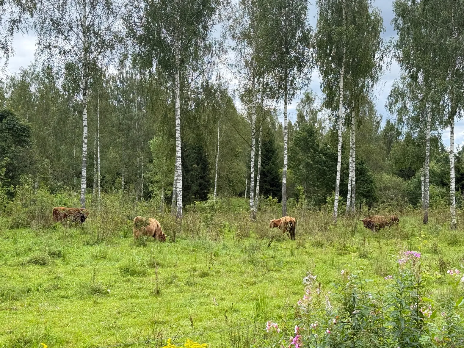 Project No. 12666622 image