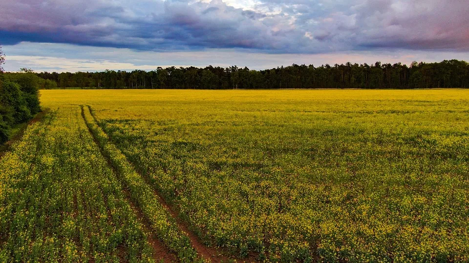 Project No. 12676011 image