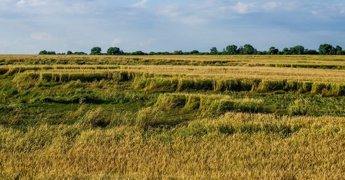 Project No. 12682255 image