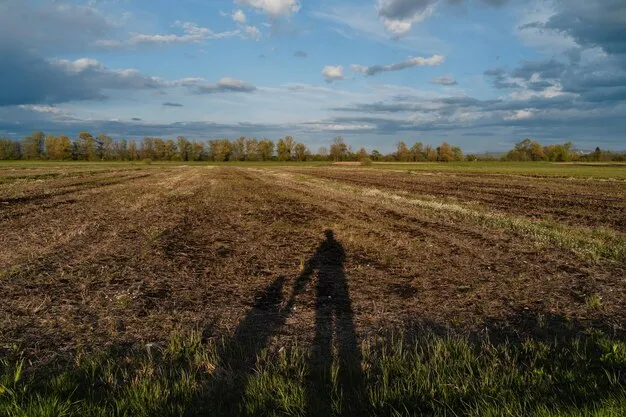 Project No. 12682324 image