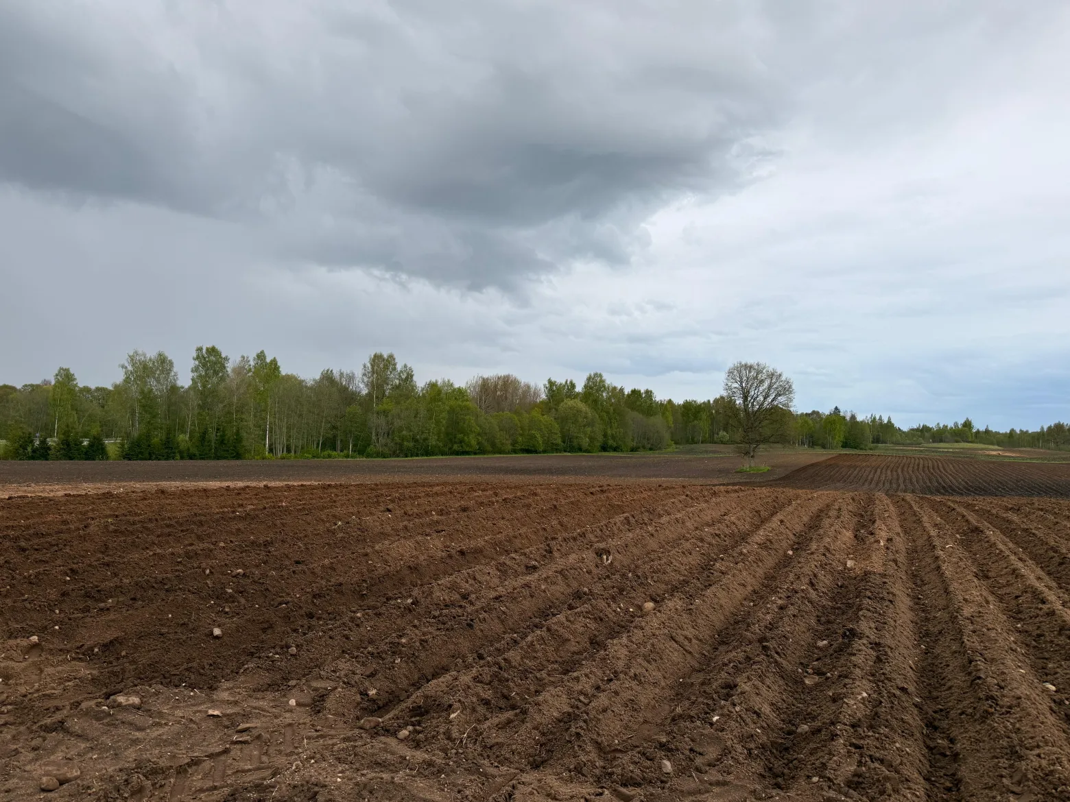 Project No. 12684795 image