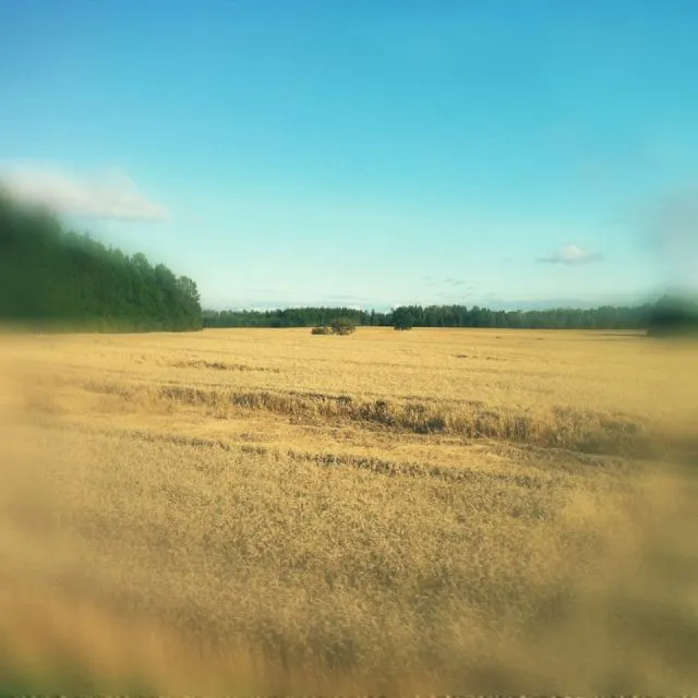 Project No. 12692796 image