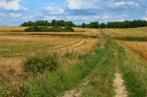 Project No. 12695125 image