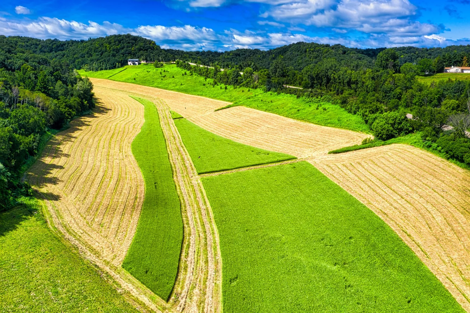 Agricultural loan for seasonal funding image