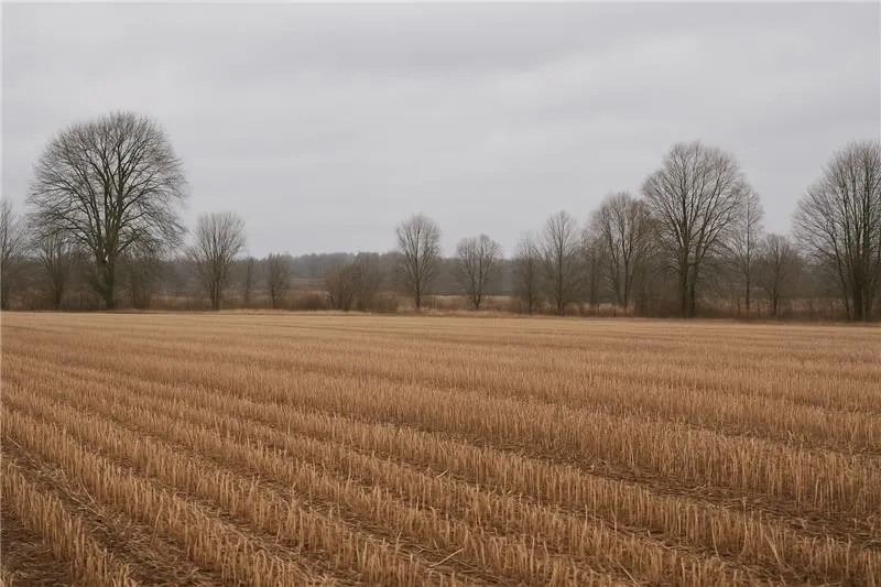 Project No. 22551158 image