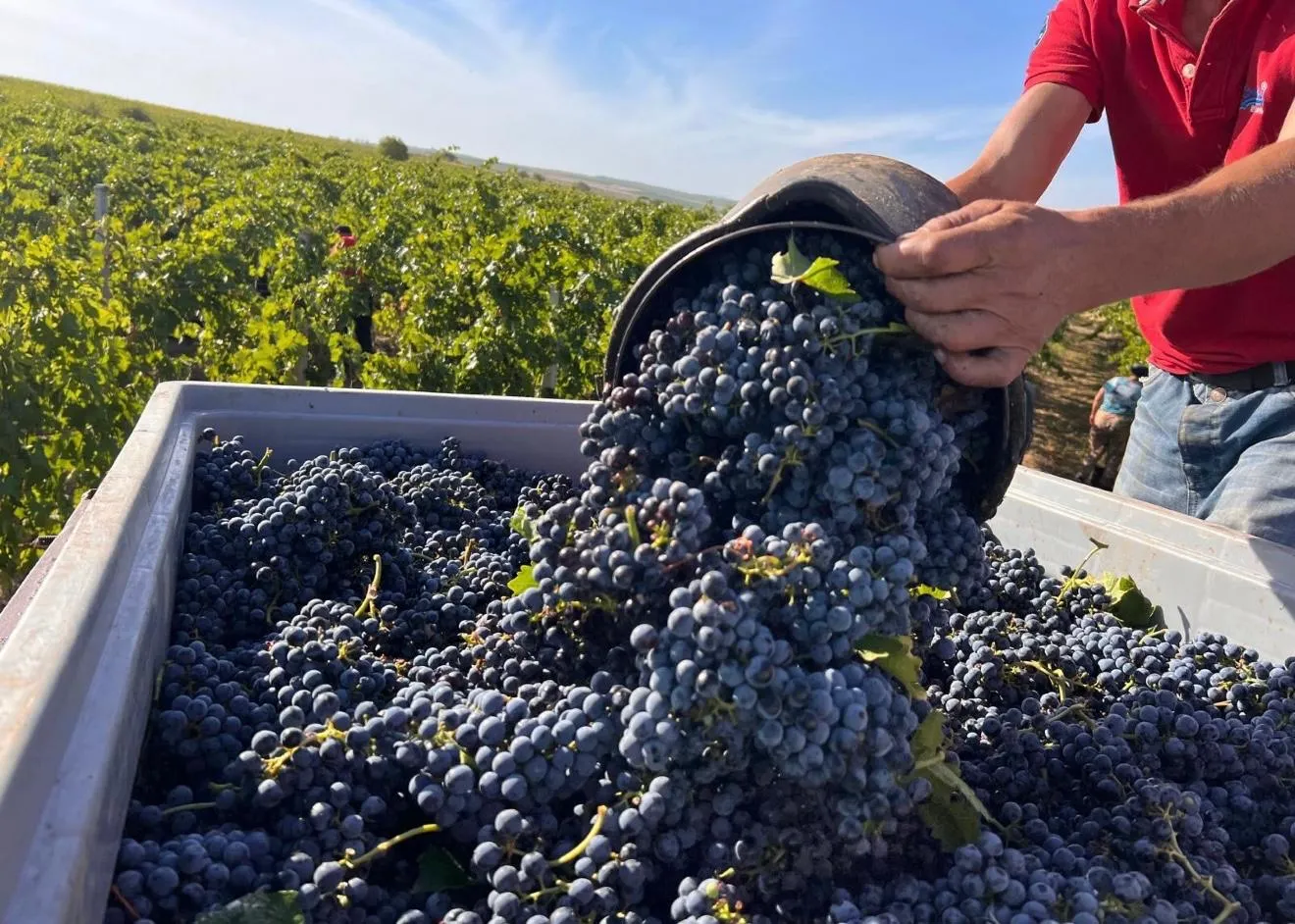 Project No. 32506372 image