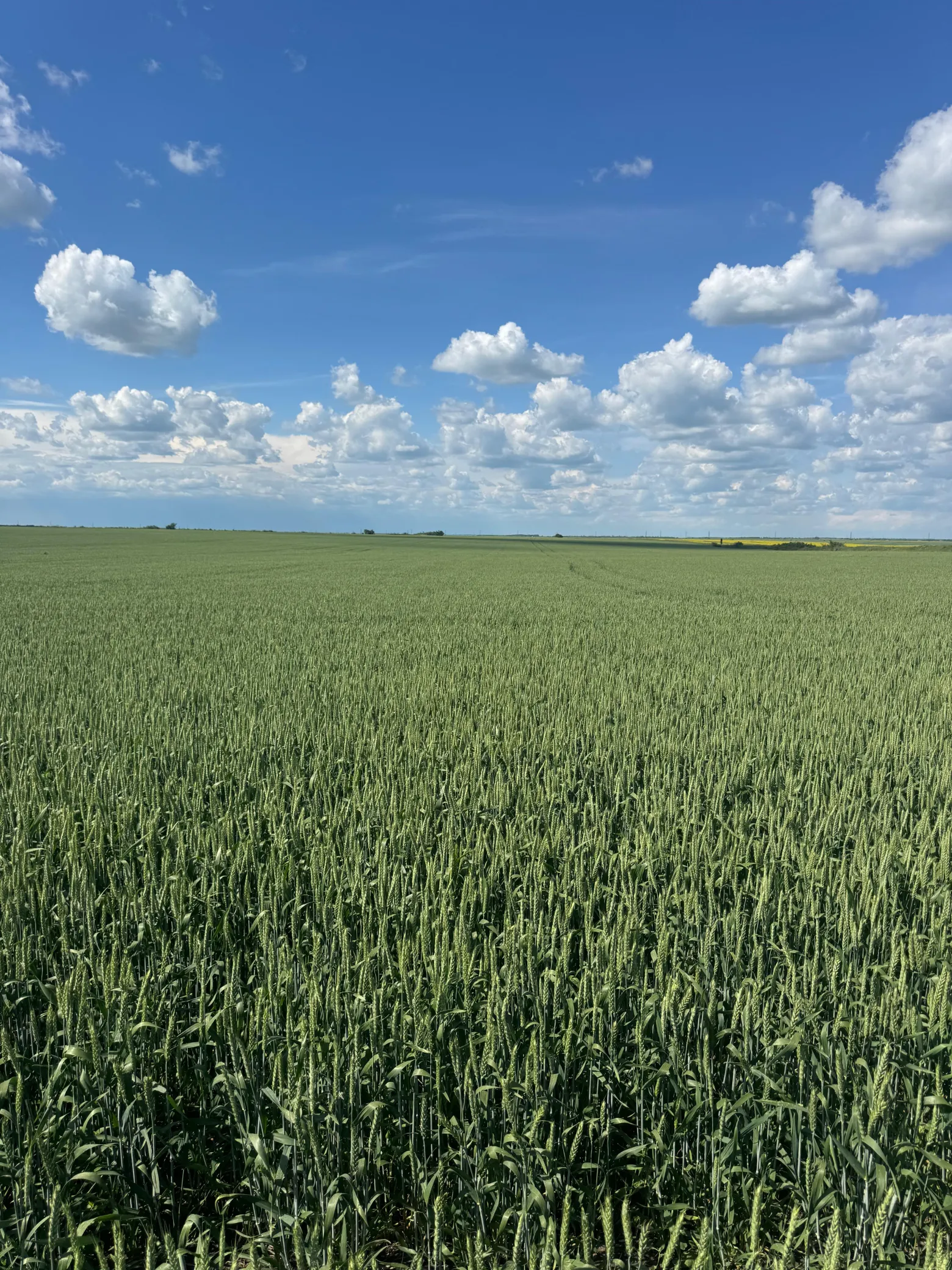 Project No. 32511604 image