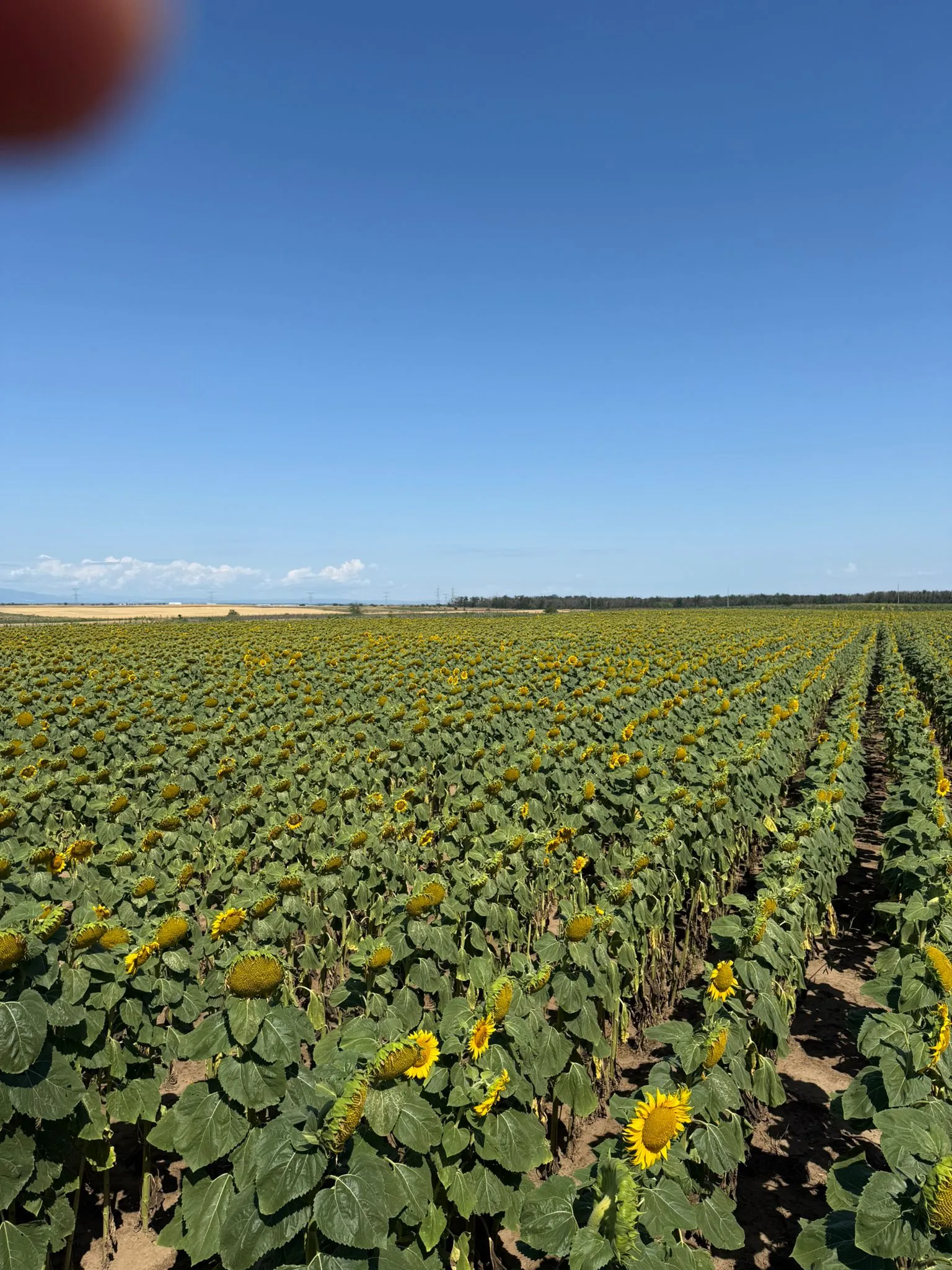 Project No. 32517056 image