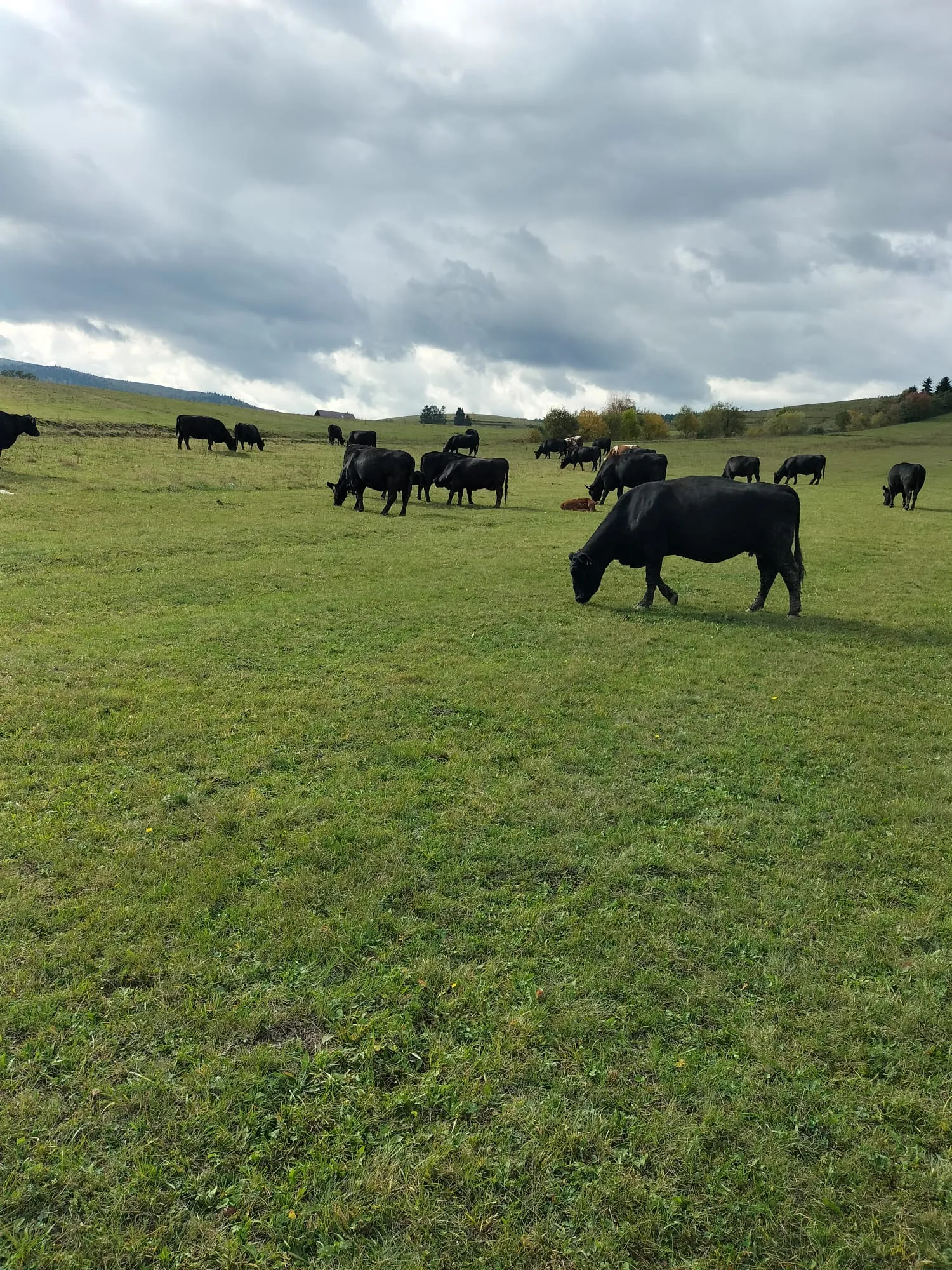 Project No. 32521569 image