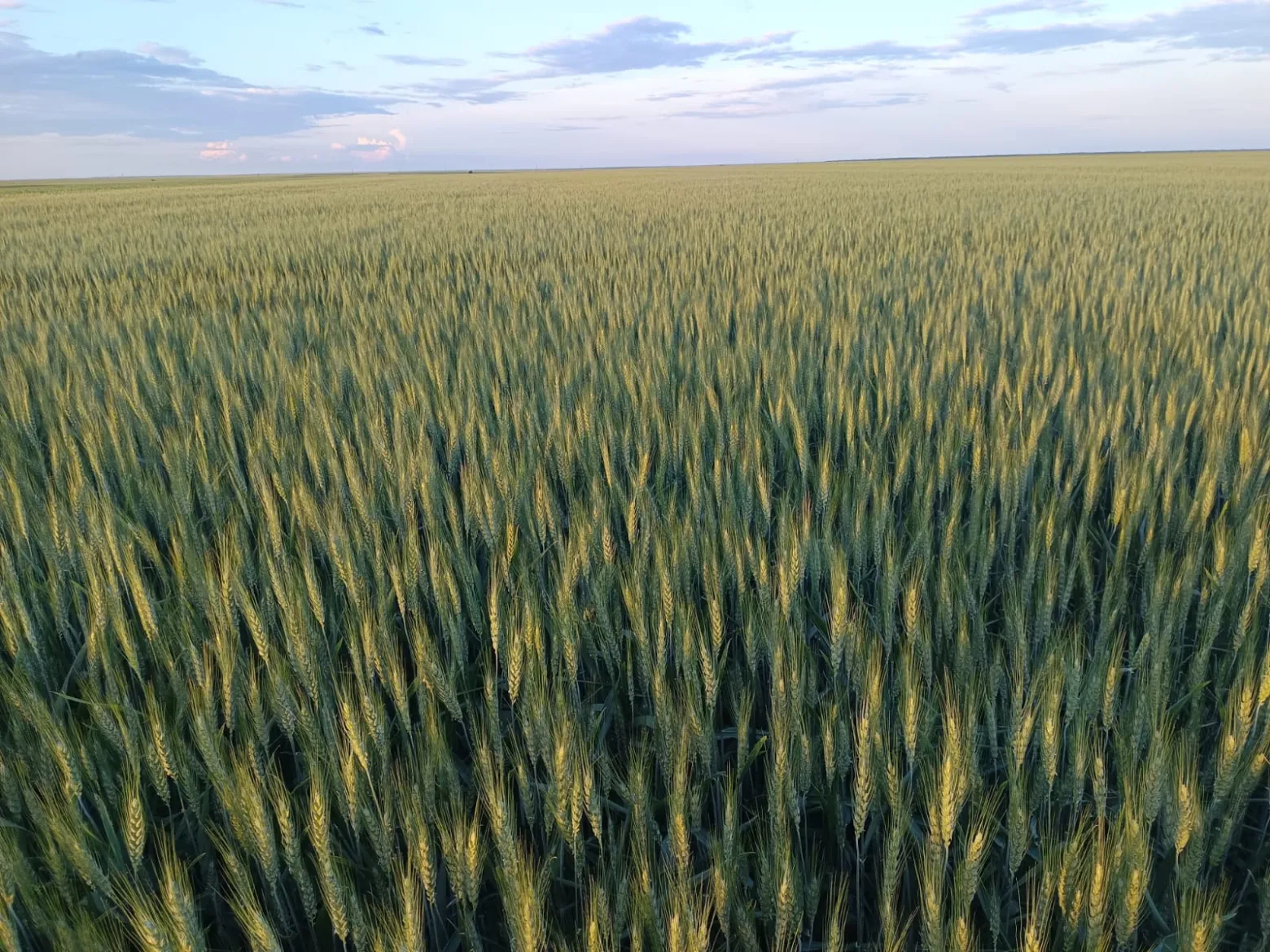 Project No. 32522223 image