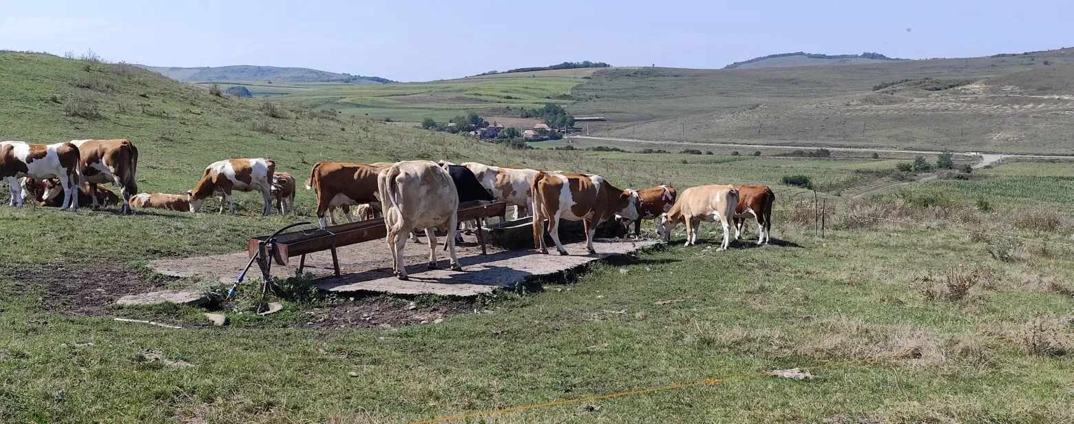 Project No. 32528773 image