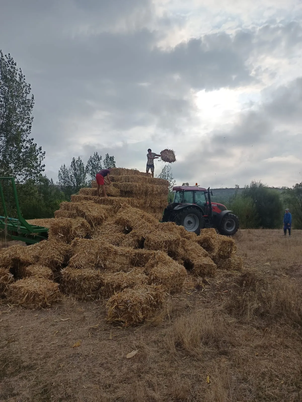 Project No. 32569684 image