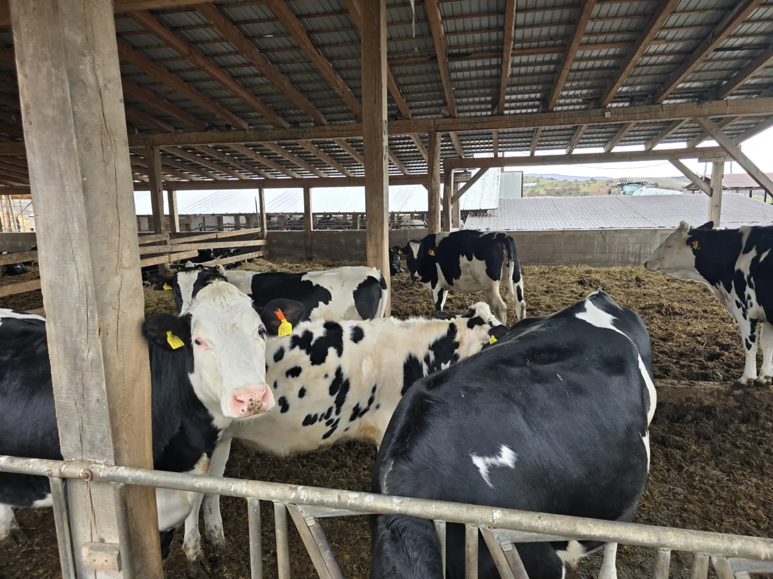 Project No. 32572648 image