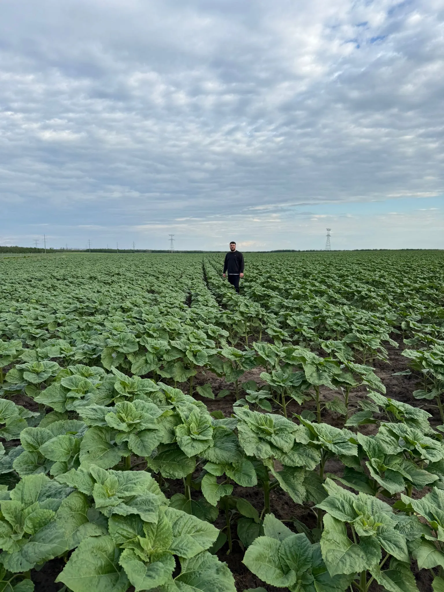 Project No. 32574053 image