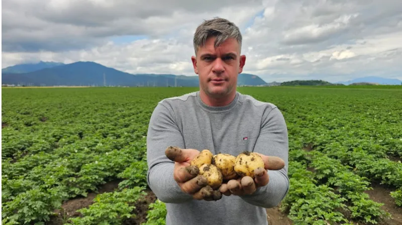 Project No. 32590918 image