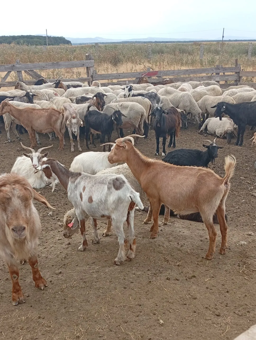 Project No. 32594694 image