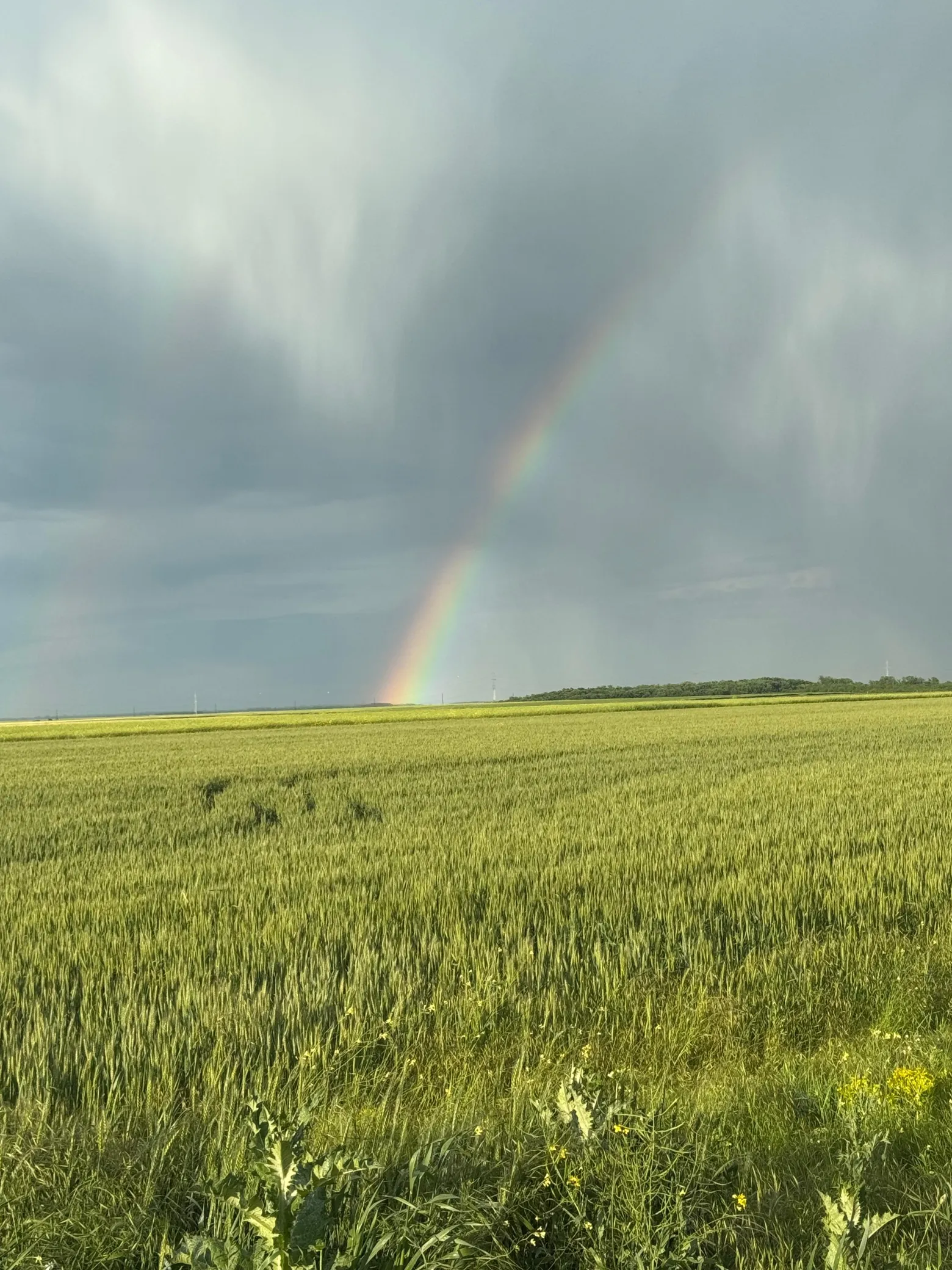 Project No. 32659105 image