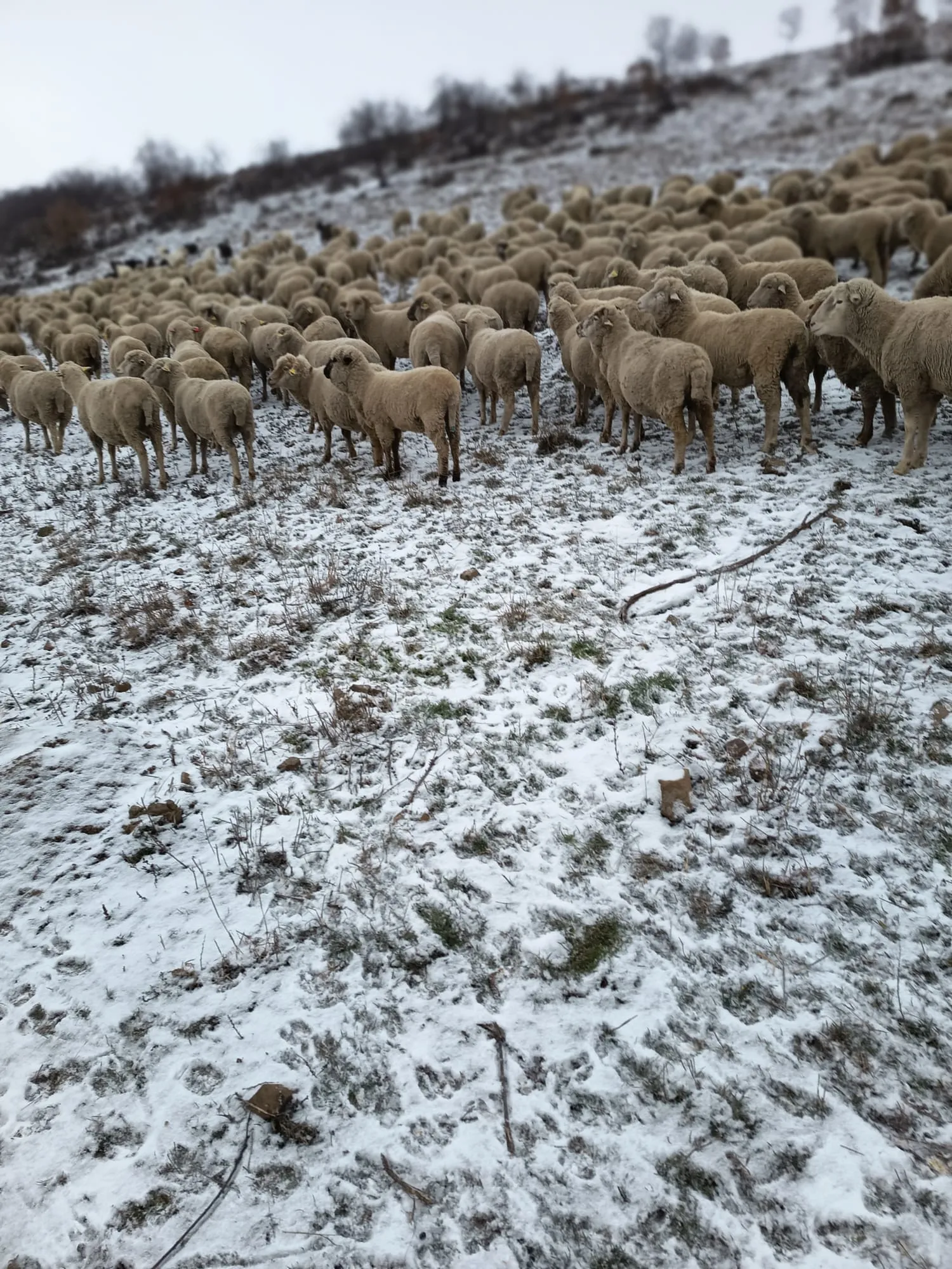 Project No. 32660722 image