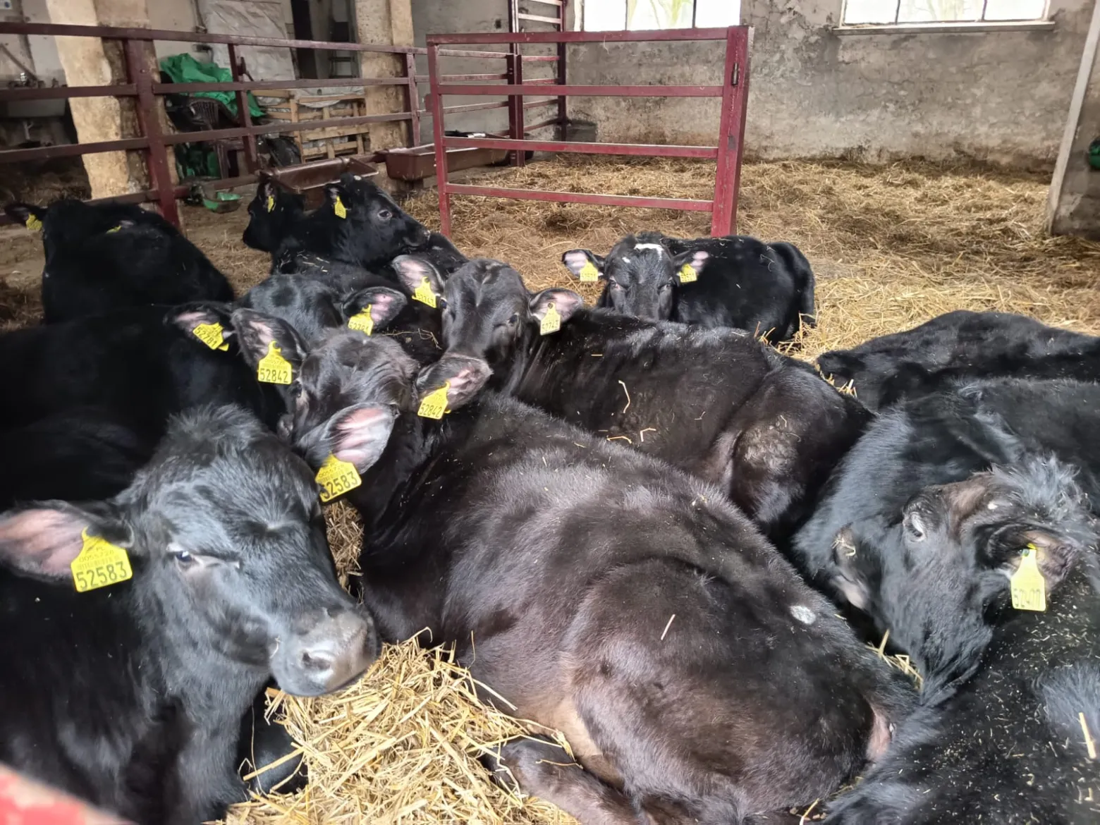 Project No. 42602829 image