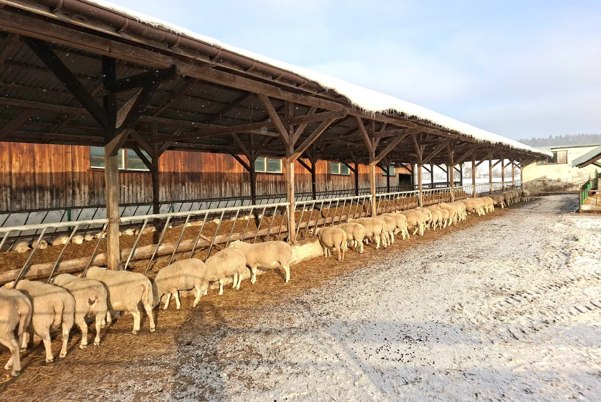 Project No. 42620335 image